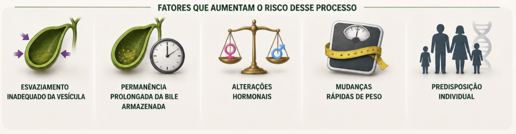 Fatores de risco para formação de pedras na vesícula.